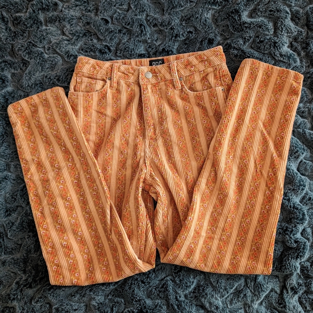 Urban Outfitters BDG size 27 pants